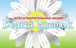 Поделки от участников благотворительной акции «Белый цветок доброты» будут принимать до конца недели